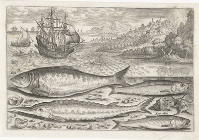 ビーチで 4 匹の魚 釣り（連載タイトル） Piscium v​​ivae アイコン (シリーズ タイトル) 作： Adriaen Collaert