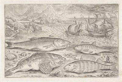 ビーチで 4 匹の魚 釣り（連載タイトル） Piscium v​​ivae アイコン (シリーズ タイトル) 作： Adriaen Collaert