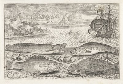 ビーチで 4 匹の魚 釣り（連載タイトル） Piscium v​​ivae アイコン (シリーズ タイトル) 作： Adriaen Collaert
