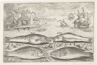 ビーチで 4 匹の魚 釣り（連載タイトル） Piscium v​​ivae アイコン (シリーズ タイトル) 作： Adriaen Collaert