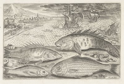 ビーチで 4 匹の魚 釣り（連載タイトル） Piscium v​​ivae アイコン (シリーズ タイトル) 作： Adriaen Collaert