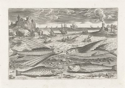 ビーチで 4 匹の魚 釣り（連載タイトル） Piscium v​​ivae アイコン (シリーズ タイトル) 作： Adriaen Collaert