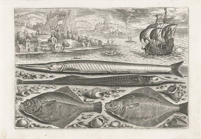 ビーチで 4 匹の魚 釣り（連載タイトル） Piscium v​​ivae アイコン (シリーズ タイトル) 作： Adriaen Collaert