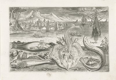 ビーチで 4 匹の魚 釣り（連載タイトル） Piscium v​​ivae アイコン (シリーズ タイトル) 作： Adriaen Collaert