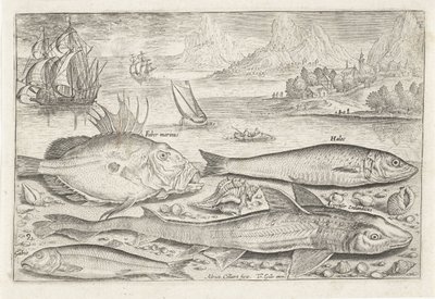 ビーチで 4 匹の魚 釣り（連載タイトル） Piscium v​​ivae アイコン (シリーズ タイトル) 作： Adriaen Collaert