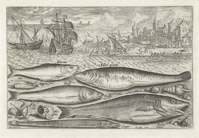 ビーチで 5 匹の魚 釣り（連載タイトル） Piscium v​​ivae アイコン (シリーズ タイトル) 作： Adriaen Collaert