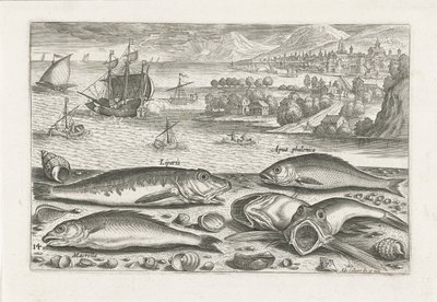 ビーチで 5 匹の魚 釣り（連載タイトル） Piscium v​​ivae アイコン (シリーズ タイトル) 作： Adriaen Collaert