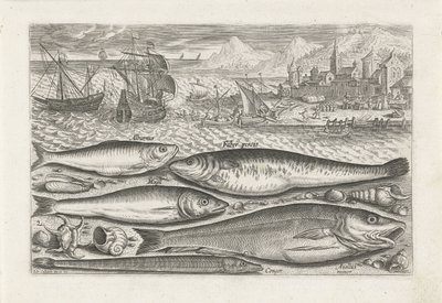 ビーチで 5 匹の魚 釣り（連載タイトル） Piscium v​​ivae アイコン (シリーズ タイトル) 作： Adriaen Collaert
