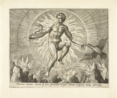 花火 The Four Elements (シリーズタイトル) 作： Adriaen Collaert