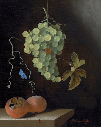 ぶら下がっているぶどうの房、2 つのメドラー、蝶のある静物 作： Adrian Coorte