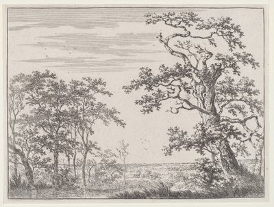小川と古木のある風景 作： Adriaen Hendricks Verboom