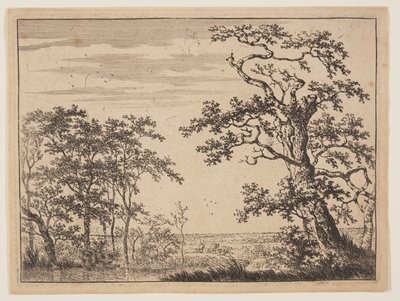 池 作： Adriaen Hendricksz Verboom