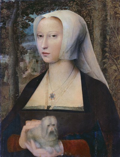 犬を連れた女性の肖像、半身像 作： Adriaen Isenbrandt