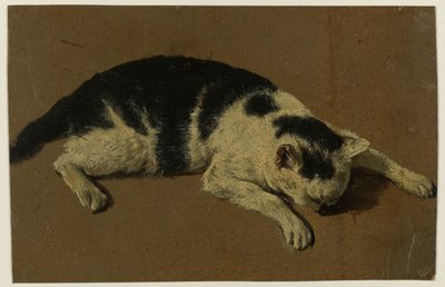 前足の間に頭を入れて横たわる猫 作： Adriaen van de Velde (attributed to)