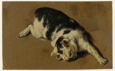 横向きに寝ている猫、左前足を伸ばしている 作： Adriaen van de Velde (attributed to)