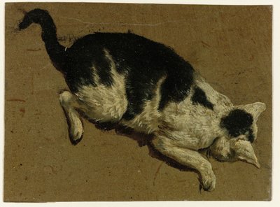 高所から見下ろす猫 作： Adriaen van de Velde (attributed to)