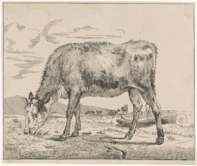 子牛の放牧 牛（シリーズタイトル） 作： Adriaen van de Velde