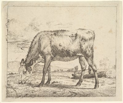さまざまな動物の子牛の放牧、1658年。 作： Adriaen van de Velde