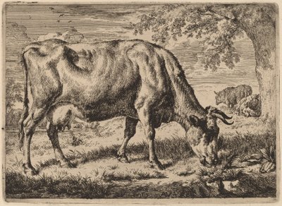 2 頭の羊と牛の放牧 作： Adriaen van de Velde