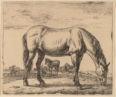 放牧馬 作： Adriaen van de Velde