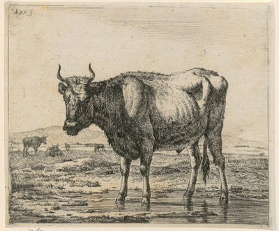 水中に立つ雄牛、「さまざまな動物」連作第6図 作： Adriaen van de Velde