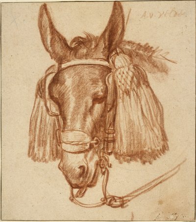 Kopf eines Esels mit Zaumzeug 作： Adriaen van de Velde