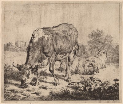 斑点のある雄牛と 3 匹の羊 作： Adriaen van de Velde