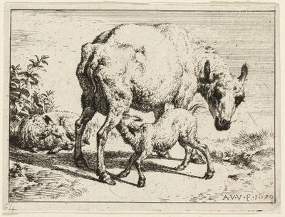 子羊 作： Adriaen van de Velde
