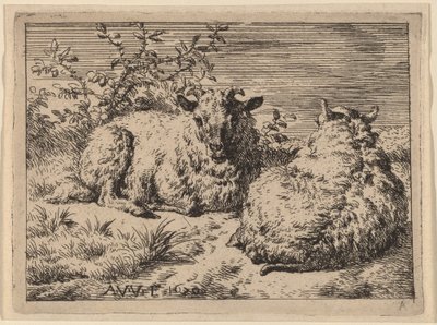 2 つの横たわる羊 作： Adriaen van de Velde