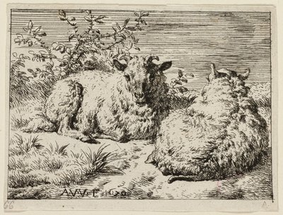 二匹の羊 作： Adriaen van de Velde