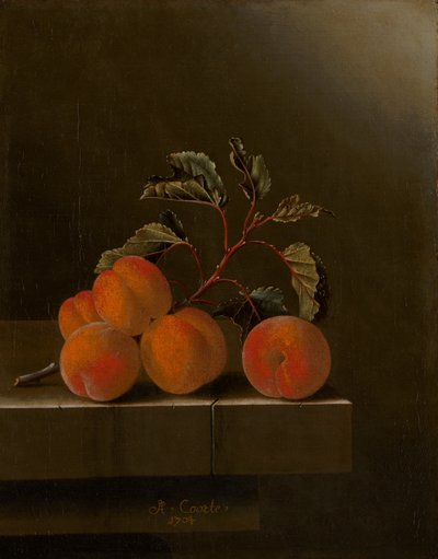 5つのアプリコットのある静物、1704 作： Adrian Coorte