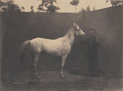 パスカリン、カリフォルニア州。 1855-60。 作： Adrien Alban Tournachon