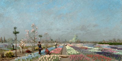 ゲントのヴァン・ハウト保育園に咲くヒヤシンス畑、1883年に聖ニコラス教会、鐘楼、聖バーフ大聖堂を望む 作： Adrien Louis Demont