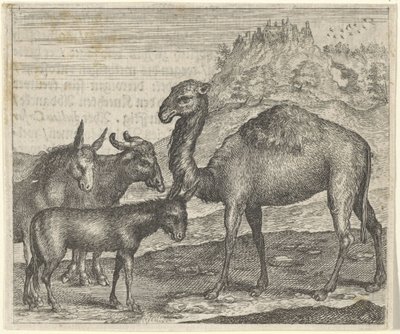 ロバ、バッファロー、ラクダ、ラバの寓話 作： Egidius  Sadeler (II)