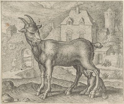 ヤギと若いオオカミの寓話 作： Egidius  Sadeler (II)