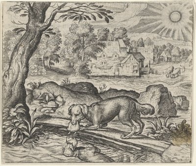 犬の寓話と彼の反射 作： Egidius  Sadeler (II)
