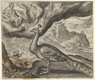 孔雀とナイチンゲールの寓話 作： Egidius  Sadeler (II)