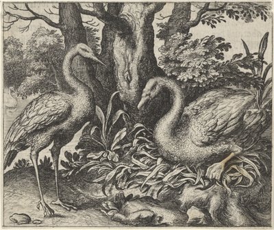 白鳥とコウノトリの寓話 作： Egidius  Sadeler (II)