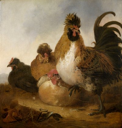 おんどりとめんどり（パネルに油彩） 作： Aelbert Cuyp