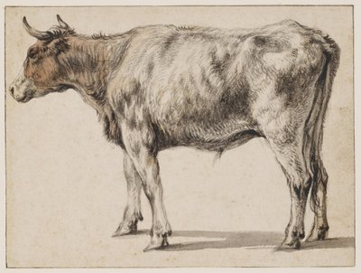  作： Aelbert Cuyp