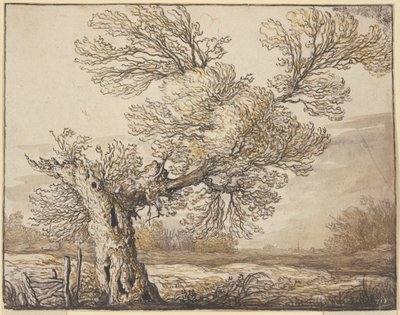  作： Aelbert Cuyp