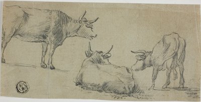 牛の3つのスケッチ 作： Aelbert Cuyp