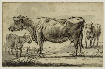  作： Aelbert Cuyp