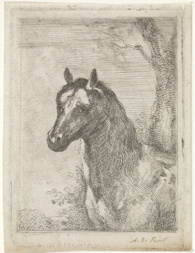 馬の頭 作： Aert Schouman (signed by artist)