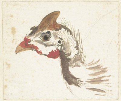 ホロホロチョウの頭 作： Aert Schouman
