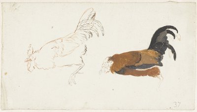 死んだ雄鶏の 2 つの研究 作： Aert Schouman
