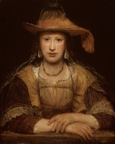 若い女性の肖像、1690年頃（キャンバスに油彩） 作： Aernt de Gelder