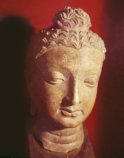 仏頭、グレコ仏教様式、ハッダ出身（陶芸） 作： Afghan School