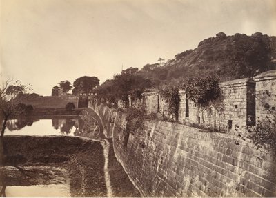 シティウォールの一部、フーチョウ、カリフォルニア州。 1869年。 作： Afong Lai
