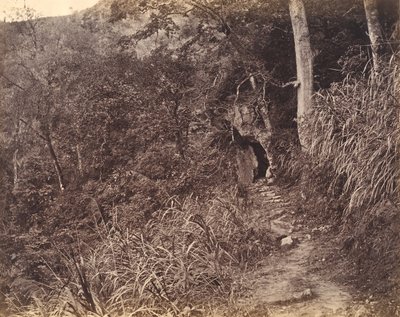 Yuen foo Monastery までの道を左折します。 1869年。 作： Afong Lai